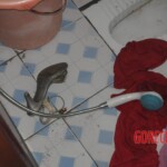 Chinese woman found dead in bathroom due to gas poisoning