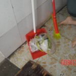 Chinese woman found dead in bathroom due to gas poisoning