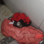 Chinese woman found dead in bathroom due to gas poisoning