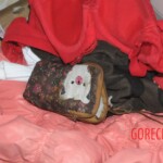 Chinese woman found dead in bathroom due to gas poisoning