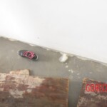 Chinese woman found dead in bathroom due to gas poisoning