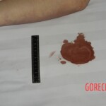 Chinese woman found dead in bed