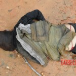 Chinese woman found drowned in lake