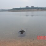 Chinese woman found drowned in lake