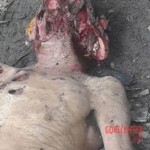 Carmen Valentín Páez Torrealba