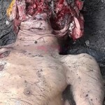 Carmen Valentín Páez Torrealba