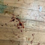 Curvy influencer Soraya Riffy mutilated after rape