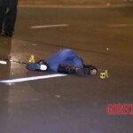 Female motorcyclist without helmet smashed her skull against guardrail