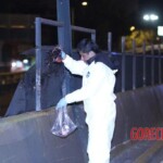 Female motorcyclist without helmet smashed her skull against guardrail