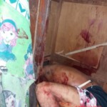 Five members of one family murdered inside their home