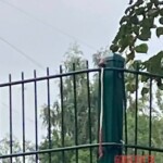 Girl tore off her finger while climbing over fence