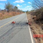 Guy cut in half by fast-moving vehicle