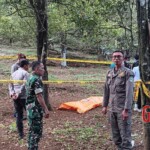 Hanged man found on tree by roadside