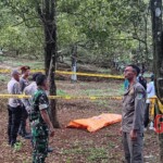 Hanged man found on tree by roadside