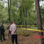 Hanged man found on tree by roadside