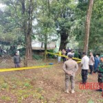 Hanged man found on tree by roadside
