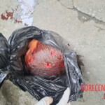 Human remains in plastic bags scattered across city of Chinautla