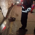 Human remains in plastic bags scattered across city of Chinautla