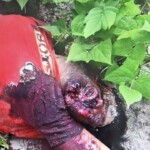 Man assassinated while walking with his father