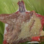 Man died after ingesting poisonous root