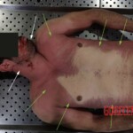 Man died after ingesting poisonous root