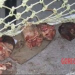 Massacre at children's playground during Chechen war