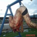 Massacre at children's playground during Chechen war