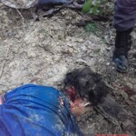 Raimundo Ferreira dos Santos