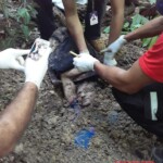 Raimundo Ferreira dos Santos