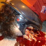 Motorcyclist died under wheels of truck