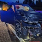 Nighttime pedestrian fatally struck and torn apart by BMW driver