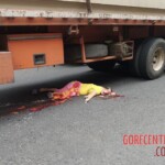 Pedestrian fatally crushed by truck