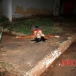 Prostitute murdered because she was seeing drug lord