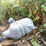 Ritualists murdered woman and dumped her by roadside