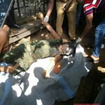 Ritualists murdered woman and dumped her by roadside