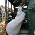 Ritualists murdered woman and dumped her by roadside
