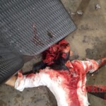 Santiago Rodríguez Zambrano