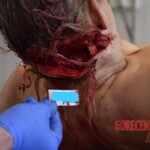 Stabbed to death by her partner