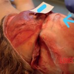 Stabbed to death by her partner