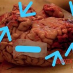 Stabbed to death by her partner