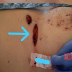 Stabbed to death by her partner