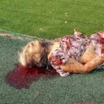 Student addicted to computer games murdered his own grandmother