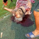 Student addicted to computer games murdered his own grandmother