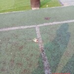 Student addicted to computer games murdered his own grandmother