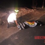 Three friends murdered for losing money that belonged to gang