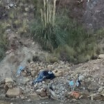 Three police officers killed during protests in Llallagua, Bolivia