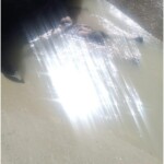 Two thugs drowned while trying to escape from police