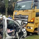 Woman had head-on collision with truck and died