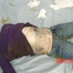 Mércia Mikie Nakashima