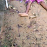 Young gangster assassinated in side alley